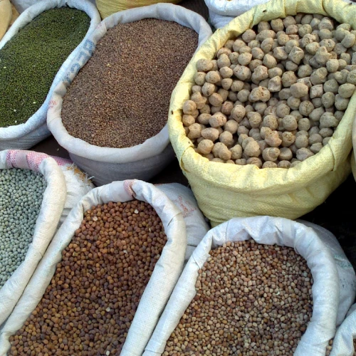 Grains are included in the traditional dairy dishes associated with the holiday of Shavuot. Credit: Wikimedia Commons.