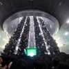 Haredi Protest