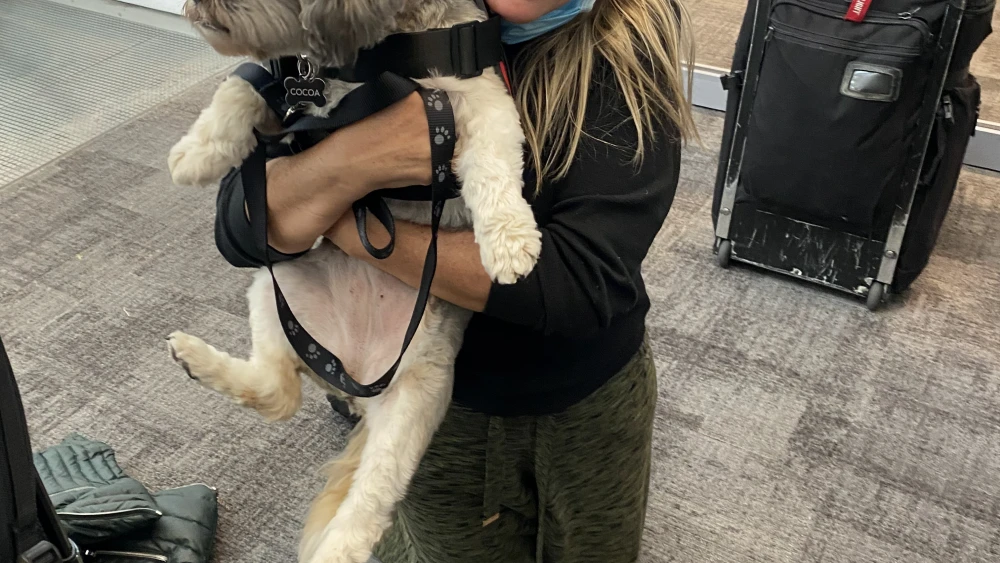 Valerie Greenfeld and her dog Cocoa after arriving in Israel. Credit: Courtesy.