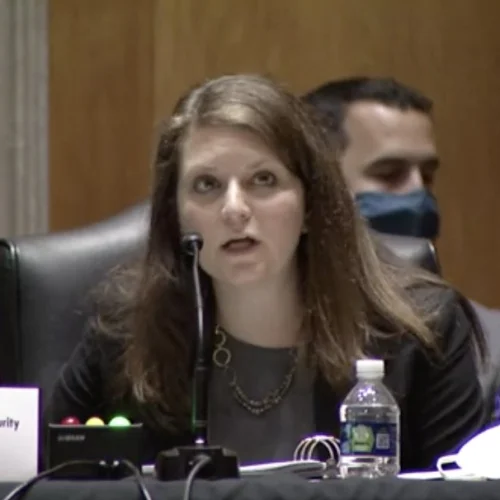 U.S. Deputy Assistant Secretary of State Mira Resnick addresses the Senate Foreign Relations Committee, Aug. 10, 2021. Source: Twitter.