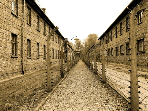 Auschwitz Sepia