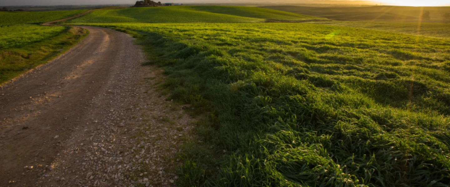 Sunrise in Bitronot Ruchama, a nature reserve of badlands in the area of Kibbutz Ruchama in the Western Negev, in southern Israel, on April 13, 2017. Photo by Maor Kinsbursky/Flash90.