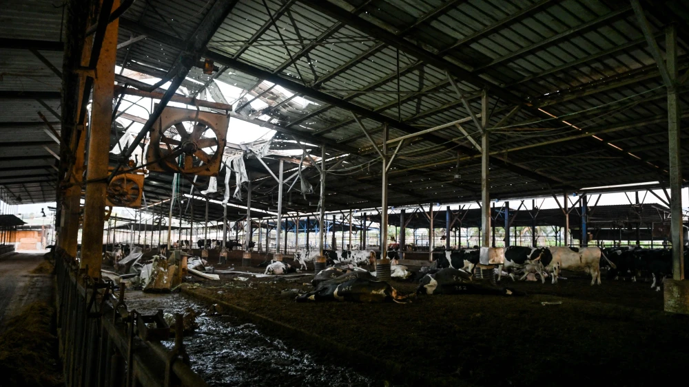 This cowshed in Moshav Beit She'arim, in Israel's Jezreel Valley, took a direct hit from a Lebanese rocket, Sept. 22, 2024. Credit: Flash90.