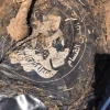 A shirt that was found on human remains in southern Israel's Sha'ar Hanegev area, June 13, 2024. Credit: Israel Police.
