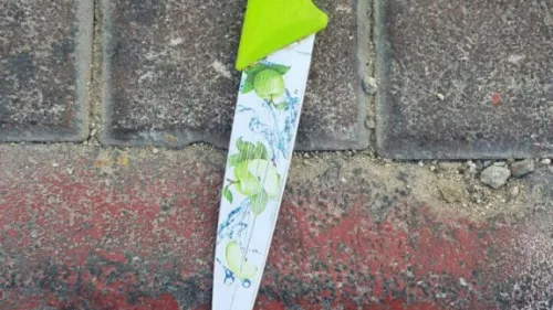 The knife used in the attempted stabbing of Israeli guards by an Arab woman on Jan. 30, 2019. Source: Israel Police.