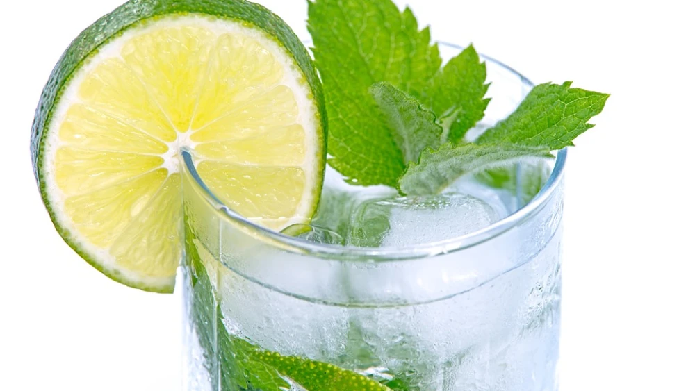 Mint Refresher. Credit: Pixabay.