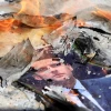 A picture of French President Emmanuel Macron burned by Palestinians during a protest against both the publication of a cartoon depicting the Islamic prophet Muhammad in France and Macron's resulting comments on Oct. 2, near the West Bank town of Hebron, on Oct. 27, 2020. Photo by Wisam Hashlamoun/Flash90.