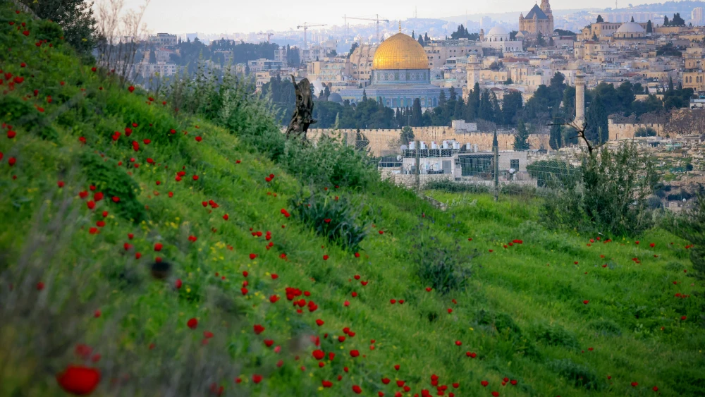 Temple Mount