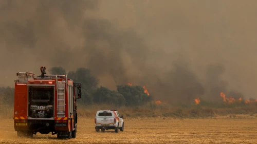 Firefighters try to extinguish a forest fire near Moshav Aderet on July 17, 2019. Photo by Noam Revkin Fenton/Flash90.