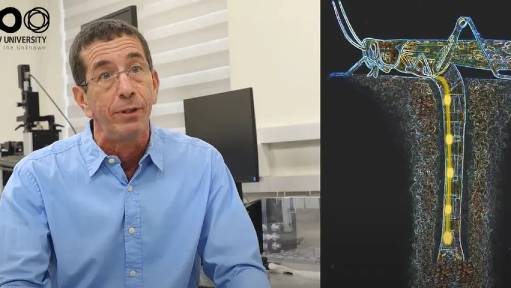 Professor Amir Ayali of the School of Zoology in the Wise Faculty of Life Sciences at Tel Aviv University. Source: YouTube