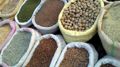 Grains are included in the traditional dairy dishes associated with the holiday of Shavuot. Credit: Wikimedia Commons.