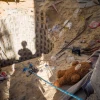 IDF in Gaza, Rafah