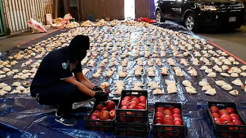 A Saudi customs officer opens imported pomegranates, used to smuggle millions of Captagon pills from Lebanon, at Jiddah Islamic Port, Saudi Arabia, April 23, 2021. Credit: AP via Saudi Press Agency.