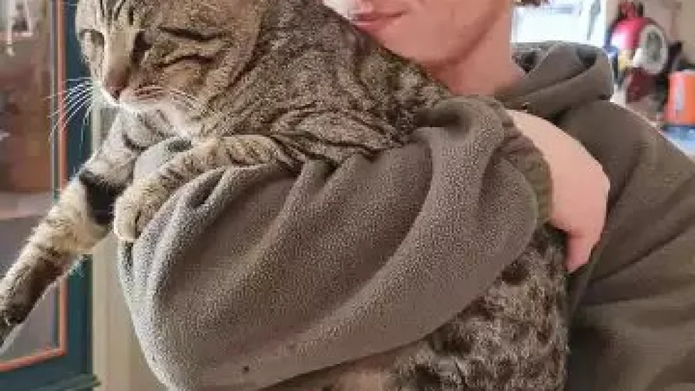 Yotam Haim with one of the family cats. Credit: Courtesy.