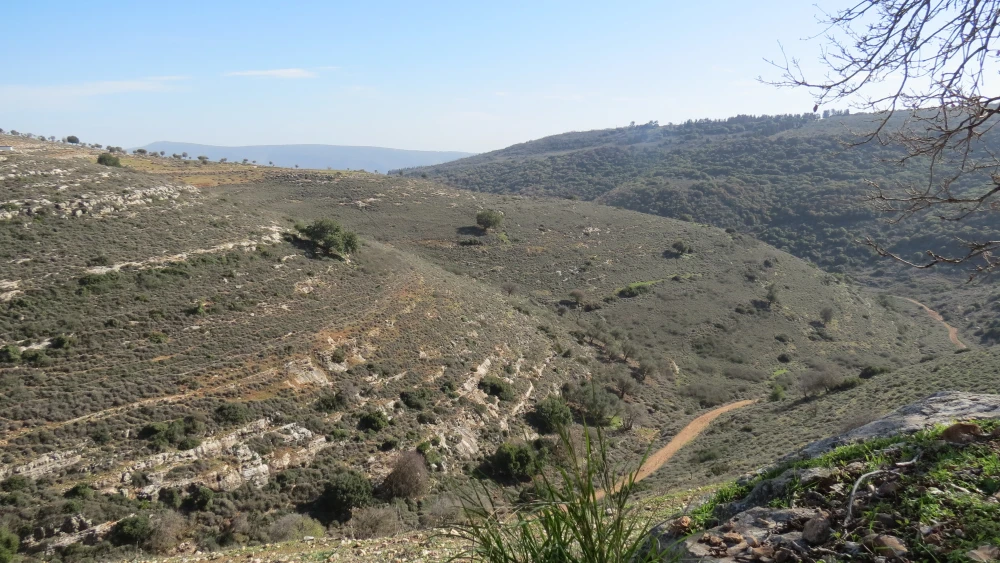 Yodfat (Credit: Rimonah Traub)