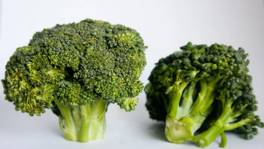 Broccoli florets. Credit: Pixabay.