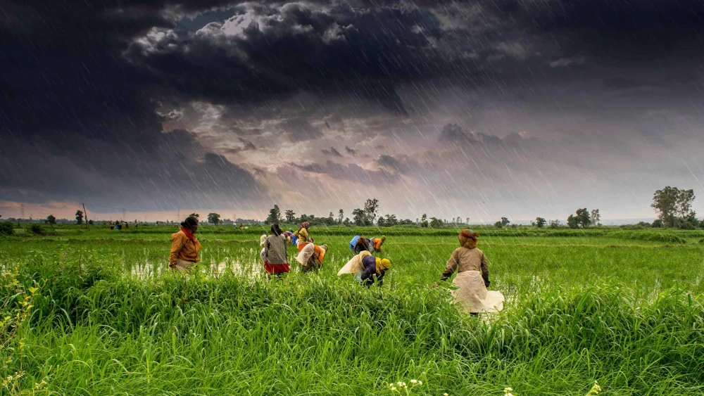 Monsoon clouds in Madhya Pradesh state, India. Credit: Rajarshi MITRA via Wikimedia Commons.