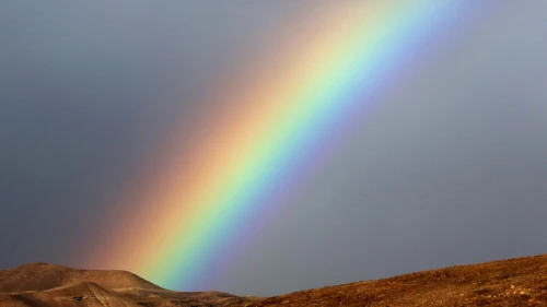 A rainbow is seen after heavy rain in the Judean Desert, on January 1, 2016. Photo by Yossi Zamir/Flash90.
