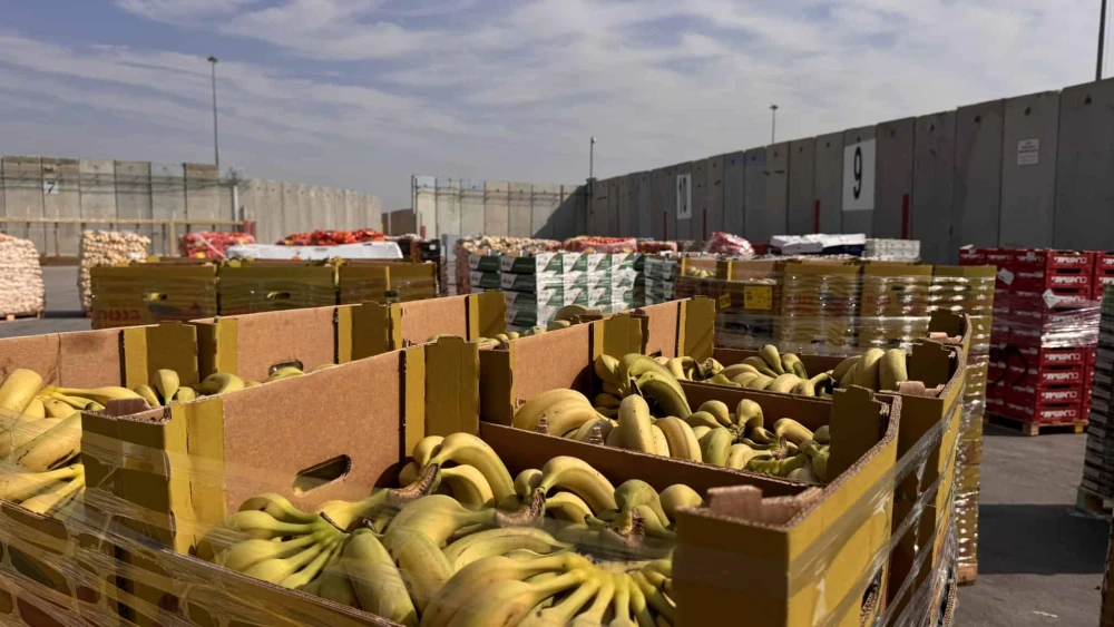 Humanitarian aid destined for the Gaza Strip, January 2025. Source: @cogatonline/X.