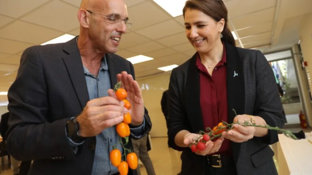 Hebrew University Agriculture School Dean Benny Chefetz and UAE Minister for Food and Water Security Mariam al-Muhairi talk tomatoes in Rehovot. Photo by Yossi Zamir.