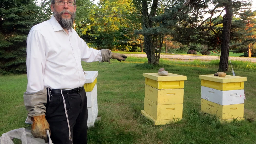 Rabbi Avraham Laber, co-director of Chabad-Lubavitch of Southern Rensselaer County in New York, explains that when the bees bring back nectar, it’s deposited into cells in the hives. Photo by Carin M. Smilk.