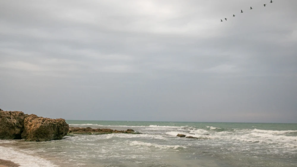 View of the Palmachim beach following an offshore oil spill that caused tons of tar to wash up on most of Israel's coastline. Feb. 23, 2021. Photo by Yossi Aloni/Flash90.
