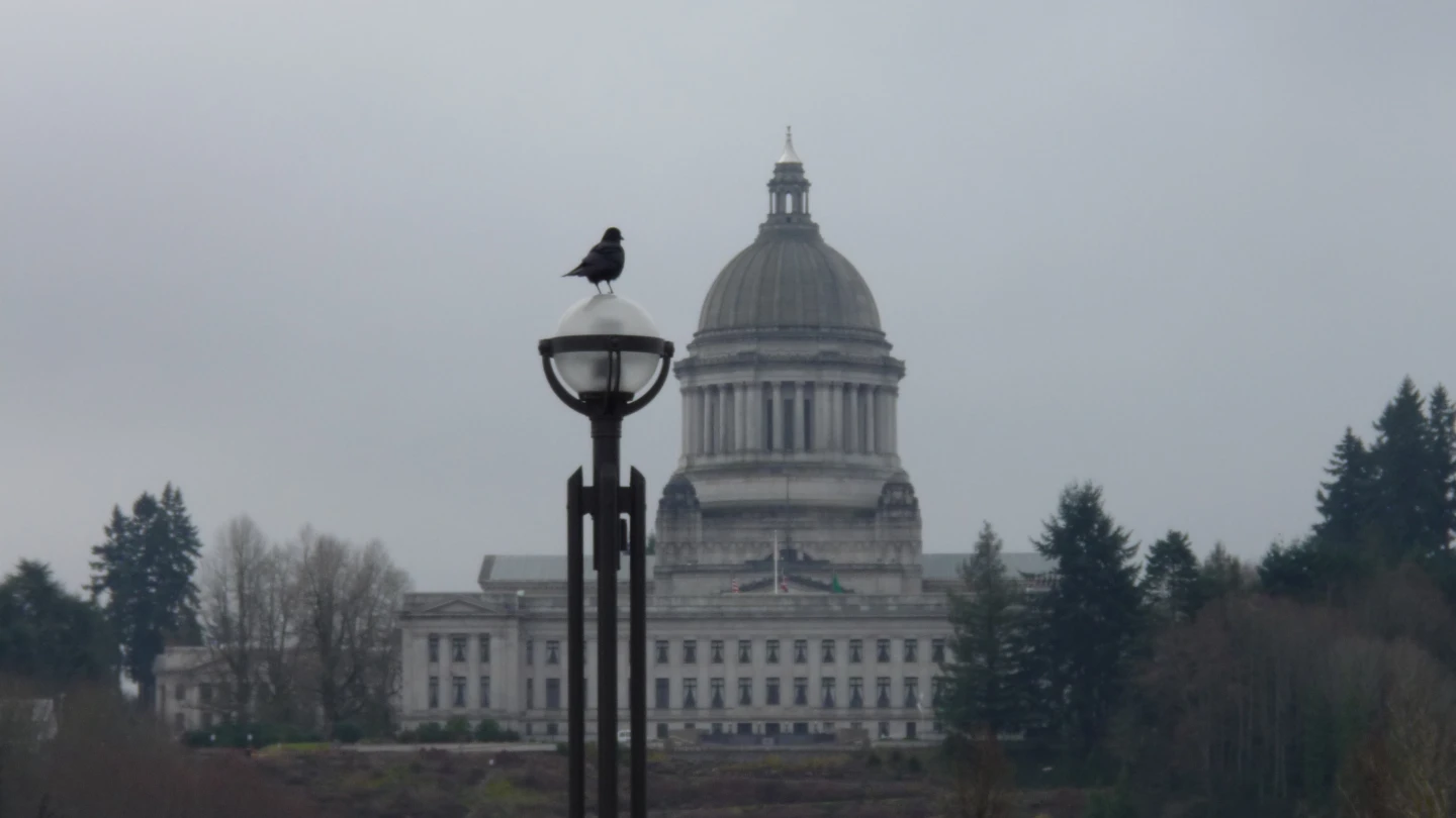 Washington state official website includes candidate statement with 'globalize the intifada'