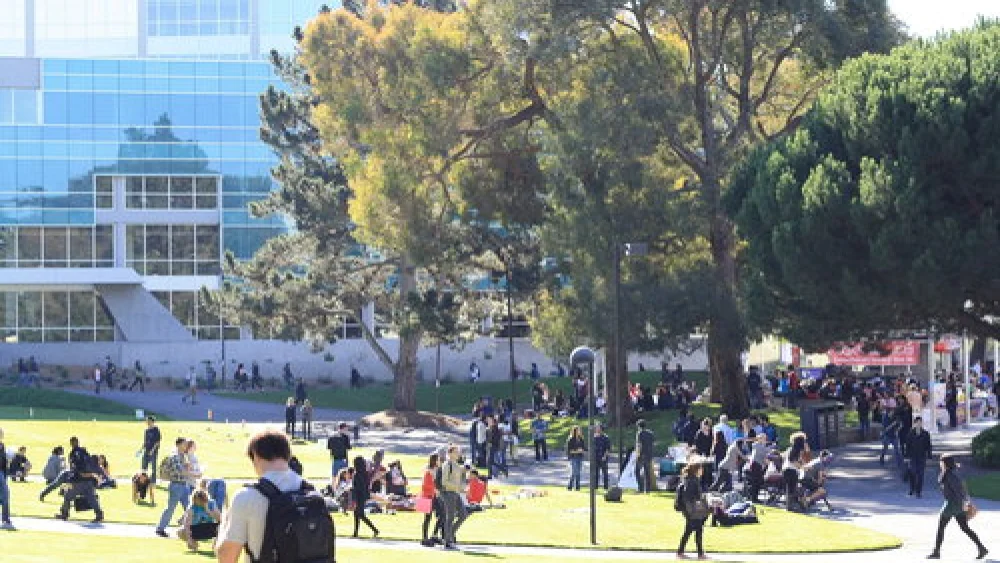 The San Francisco State University campus. Credit: Wikimedia Commons.