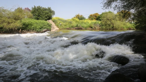 The Jordan River near Kfar Blum, in the Upper Galilee, April 8, 2019. Photo by Yossi Zamir/Flash90.