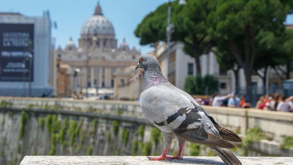 Catholic theologians launch a bold appeal supporting Israel