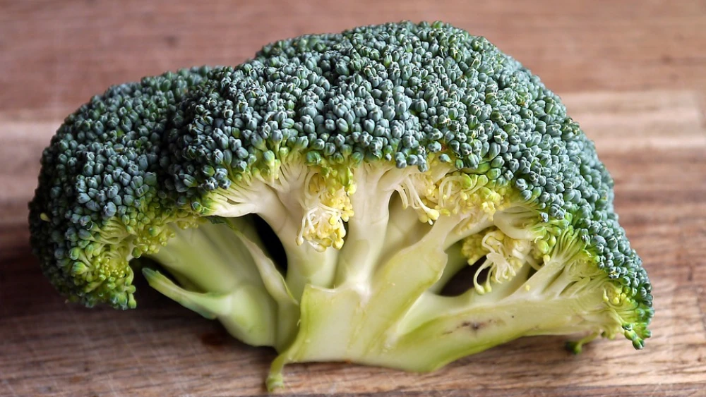 Broccoli. Credit: Pixabay.