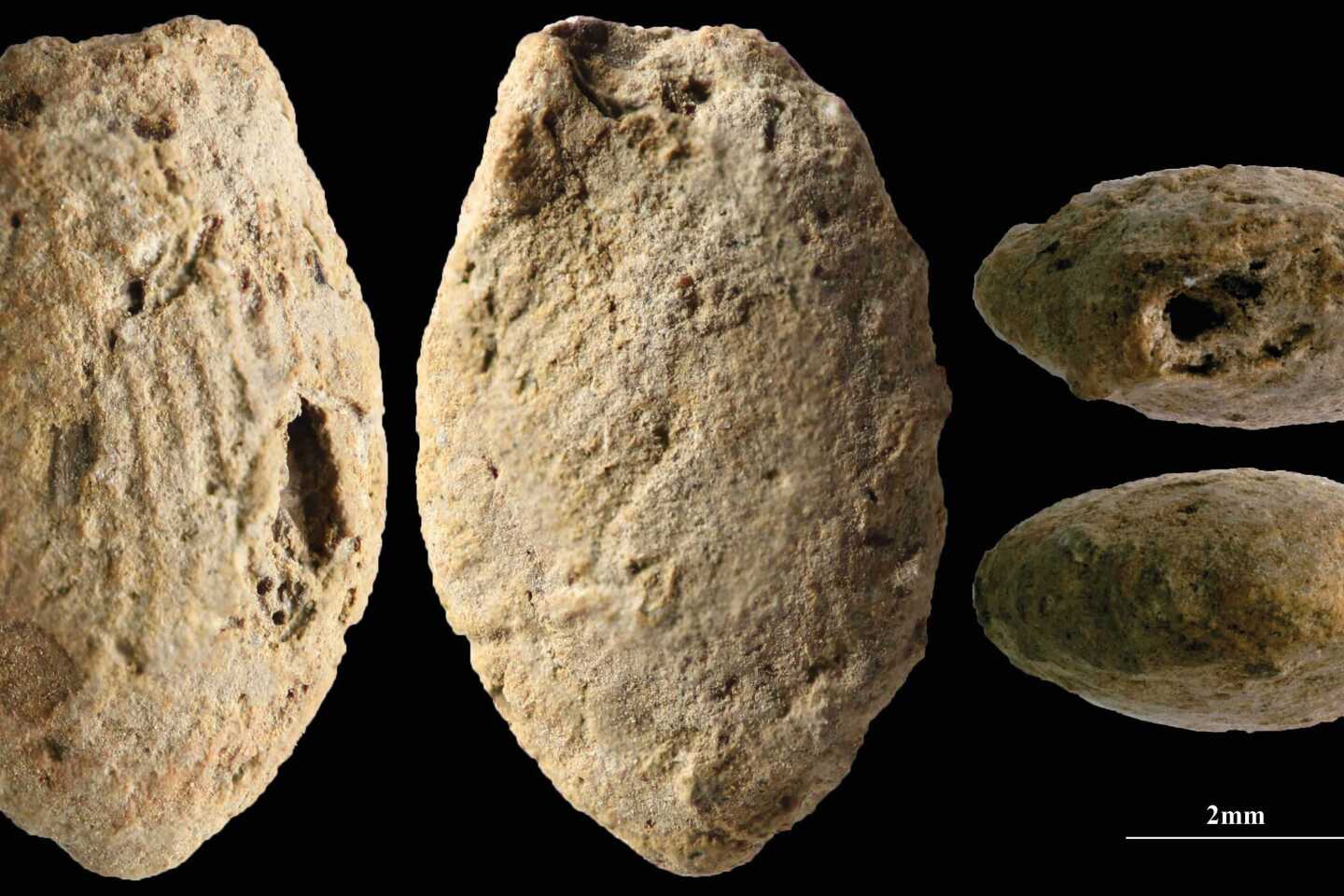 A butterfly clay bead from the Final Natufian period in Eynan-Mallaha (Upper Jordan Valley), colored red with ochre and marked with the fingerprints of the child (≈10 years old) who modeled it 12,000 years ago. Credit: Laurent Davin