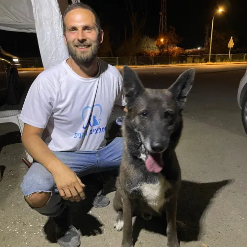 Adam Benett rescues a dog at a kibbutz in southern Israel. Credit: Courtesy.