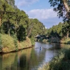 The Yarkon River in Tel Aviv's Yarkon Park on Aug. 17, 2019. Photo by Anat Hermony/Flash90.