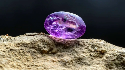 A 2,000-year-old amethyst seal, bearing an engraving that depicts the Balm of Gilead or biblical persimmon plant, was found in Jerusalem, October 2021. Credit: Eliyahu Yanai/City of David.