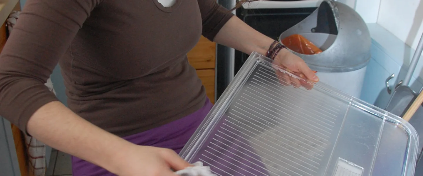 Woman cleaning