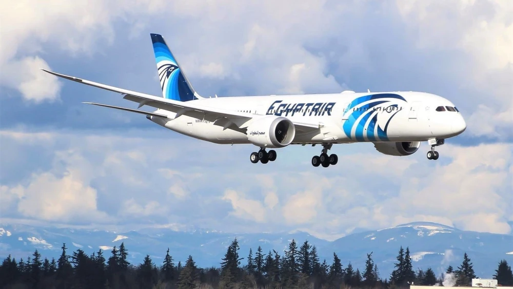 Egyptair flight. Credit: egyptair.com.