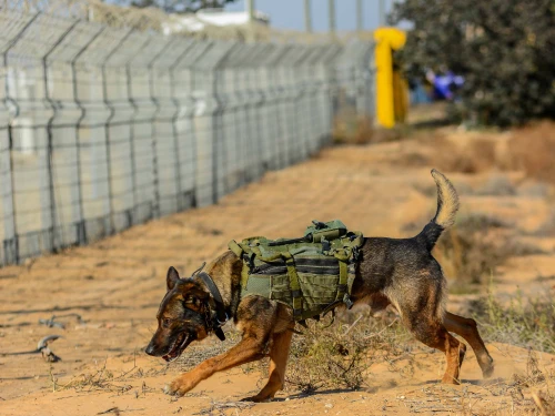 Soldiers from the IDF’s Oketz canine unit patrol in Kerem Shalom on the Gaza-Israel-Egypt border, May 18, 2022. Photo by Michael Giladi/Flash90.