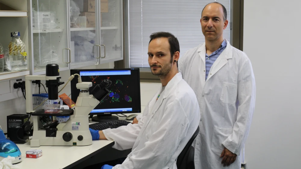 Hebrew University Ph.D. student Maxim Mogilevsky (left) and Professor Rotem Karni in the Institute for Medical Research-Israel Canada lab. Photo by Polina Denichenko courtesy of Hebrew University.