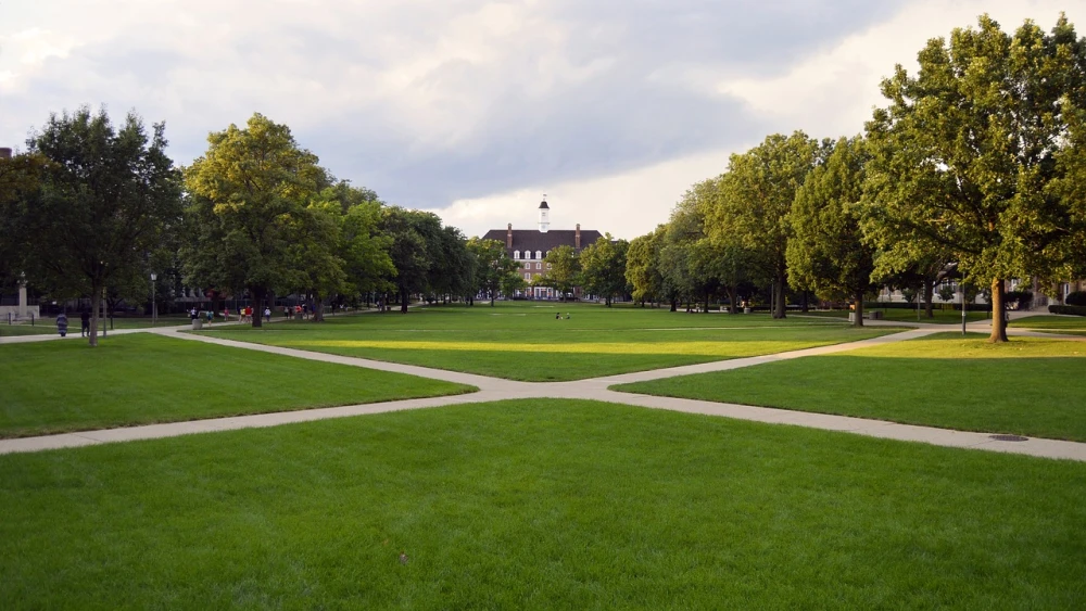 College Campus, University