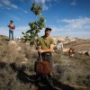 Tu B'Shevat