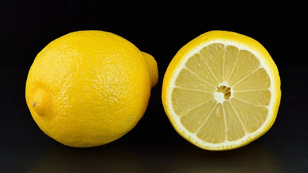 Lemons. Credit: Ivar Leidus via Wikimedia Commons.