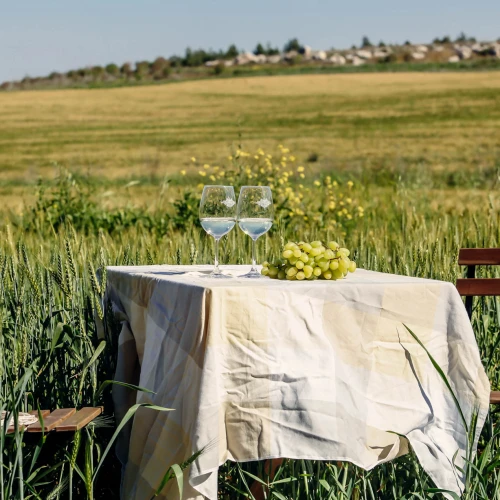Bravdo Winery. Source: The Israel Innovation Fund.