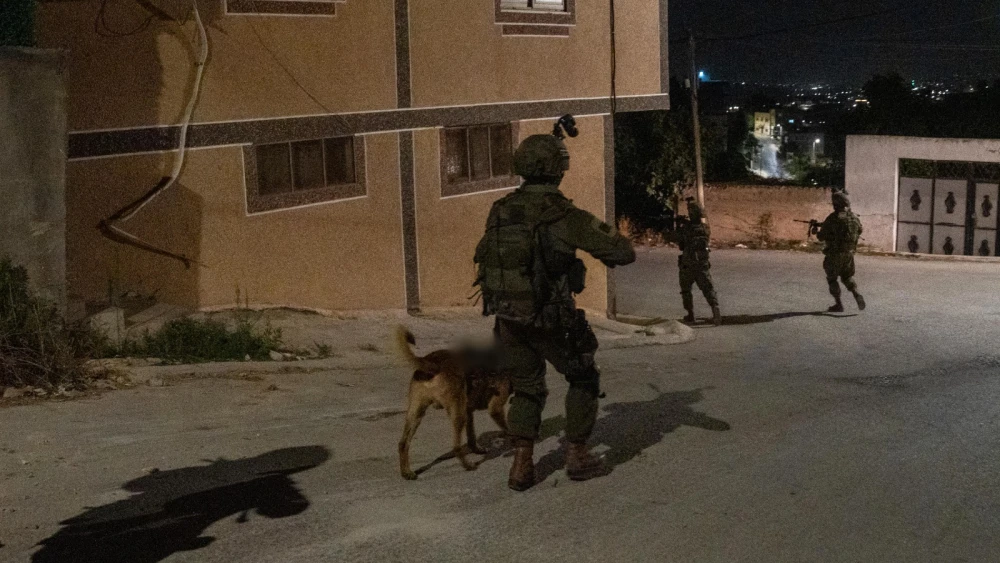 IDF troops conduct a counterterrorism operation in Judea and Samaria, Sept. 18, 2026. Credit: IDF.