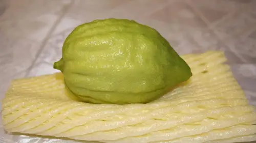 Etrog. Credit:/Pixabay.