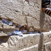 Western Wall - Notes