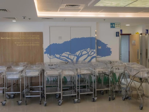The maternity ward at Shaare Zedek Medical Center in Jerusalem, Dec. 31, 2023. Photo by Chaim Goldberg/Flash90.