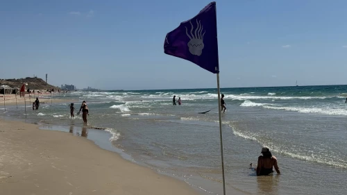Bathers swim near a purple flag warning of jellyfish at a Tel Aviv beach, July 7, 2025. Photo by Howard Blas.