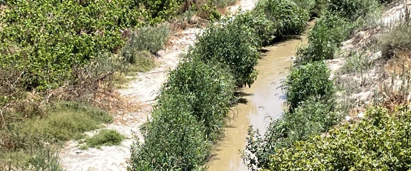 A polluted section of the Hebron Stream near Otniel in the southern Hebron Hills, July 14, 2026. Photo by Josh Hasten.
