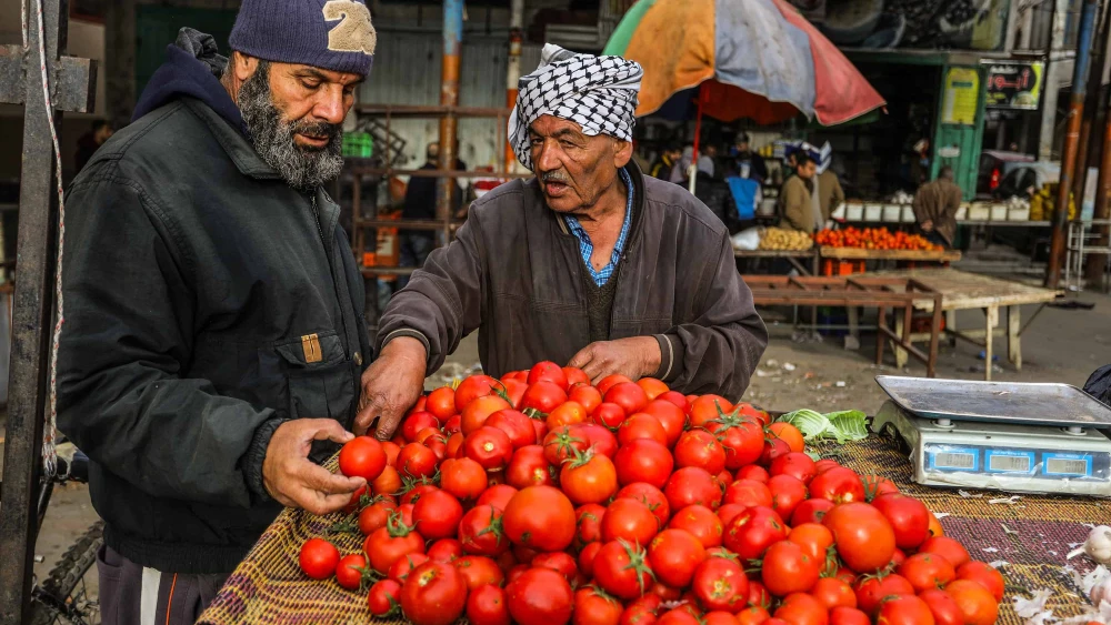 Food in Gaza